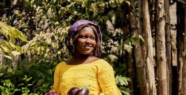 Agrisud International